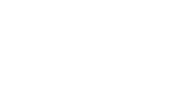 light logo