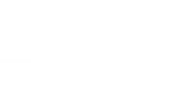 light logo